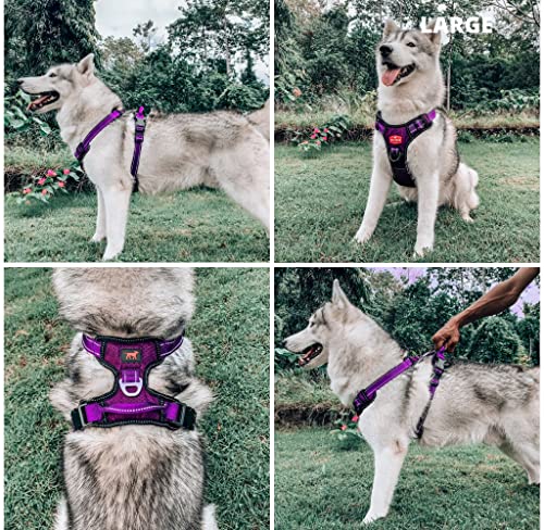 Tuff Pupper No Pull Easy Walk Dog Harness | Heavy Duty Pet Vest | Front & Back Leash Clips | Strong Safety Handle | Reflective Anti Pull Vest | Comfortable Padded Escape Proof Harness (Large, Purple) - color: Purple, size: Large (Neck: 18-26" , Chest: 21-