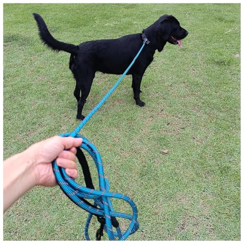 Long Dog Leash, 10/15/20/30/50FT Dog Training Leash with Soft Handle, Reflective Heavy Duty Rope Dog Lead for Medium Large Dogs Outside Play, Camping (3/8" x 30ft, Blue) - color: Blue, size: 30ft x 3/8inch