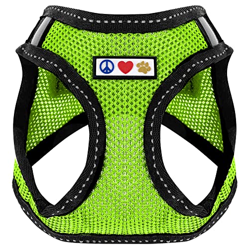 Pawtitas Dog Vest Harness Made with Breathable Air Mesh | All Weather Vest Harness for Extra Extra Small Puppies and Cats with Quick-Release Buckle - Extra Extra Small Green Mesh Dog Harness - color: Green, size: 2 Extra Small