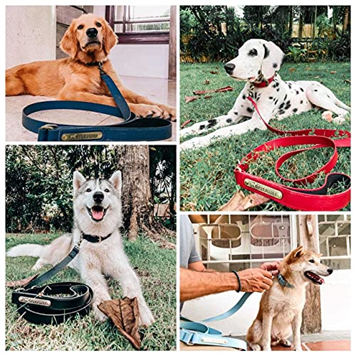Tuff Pupper Classic 6 Foot Heavy Duty Dog Leash | 10x Stronger Than Leather | 100% Waterproof & Odor Proof Dog Leash | Tough Rust-Proof All Metal Hardware - color: Crimson Red
