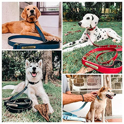 Tuff Pupper Classic 6 Foot Heavy Duty Dog Leash | 10x Stronger Than Leather | 100% Waterproof & Odor Proof Dog Leash | Tough Rust-Proof All Metal Hardware - color: Crimson Red