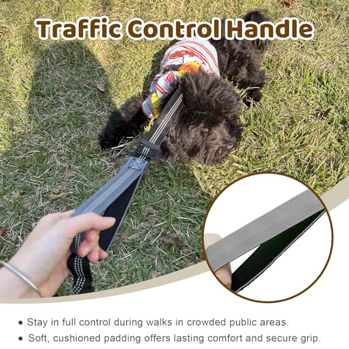 Double Dog Leash - No Tangle Splitter for Two Dogs, Coupler with Adjustable Long Lead Rope, Dual Control Handles, Retractable No Pull Bungee, Walk Train Small Medium Large 2 Pets (Grey) - color: Grey