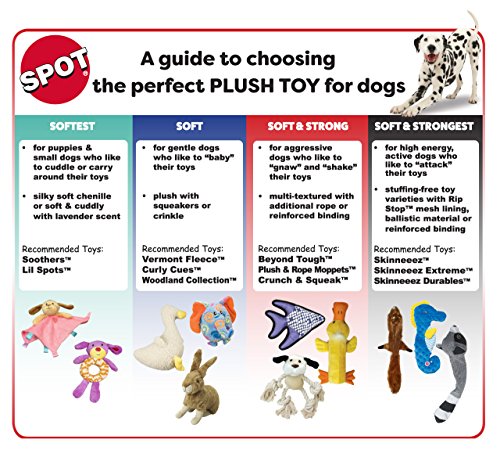 SPOT Skinneeez Chicken 13 Inch Stuffing-Free Plush Squeaky Dog Toy – Soft Interactive Chew Toy for Small and Medium Dogs – Mess-Free Play for Light & Moderate Chewers - style: Mini Chicken
