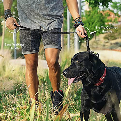 Raipult Tactical Dog Leash Heavy Duty, 4-6FT Shock Absorbing Bungee Leash with Quick Release Clip& 2 Handles, No Pull Waking Lead with Car Seatbelt for Medium Large Dogs that Pull, Black - color: Black