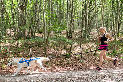 Neewa Tug Line with Bungee (1.5m (5ft), Black), To Run with Your Dog, Hands-Free Dog Leash - size: 1.5 - 2.0 m