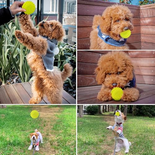 LaRoo Squeaky Dog Ball Toy, Durable Natural Rubber Squeaker Ball Floating Throwing Training, Teeth Cleaning Chew Toy for Pet Small Medium Large Dogs (6.5CM Green) - color: Green-6cm