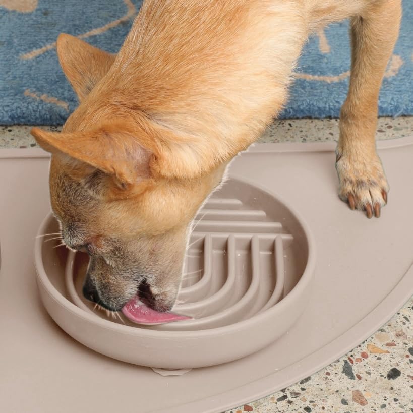 Should We Go? Slow Feeder for Dogs, The Slowdown Bowl Silicone Slow Eating Mealtime Solution with Modern Lick Mat Design, Reduces Gulping, Fits 1 Cup, 6” Across x 1.25” Tall, Small-Tan - color: Tan - Rainbow Design, size: Small (6” Across x 1.25” Tall)