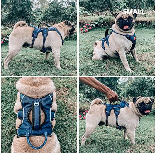 Tuff Pupper Escape Proof No Escape Dog Harness | 5 Point Adjustable Fit Harness for Dogs | Padded Dog Harnesses | Handle Dog Lift Harnesses - color: Midnight Blue, size: Small