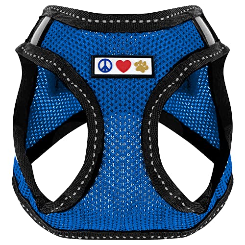Pawtitas Dog Vest Harness Made with Breathable Air Mesh | All Weather Vest Harness for Small Puppies and Large Cats with Quick-Release Buckle - Small Blue Mesh Dog Harness - color: Blue, size: Small (Pack of 1)