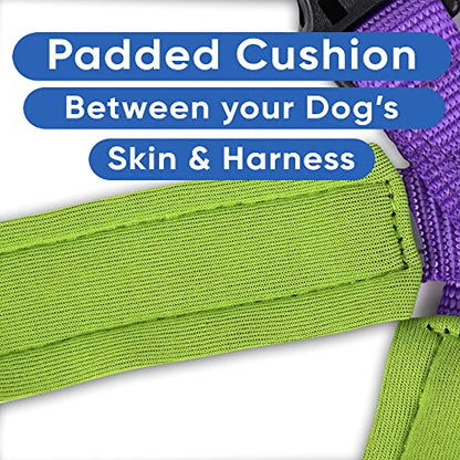 Pawtitas Reflective Padded Dog Harness for X-Small Dogs – Adjustable Puppy Step-in Vest | Fits Chest 14–18 in | No Pull Training Harness | XS | Purple - color: Purple, size: X-Small (Pack of 1)