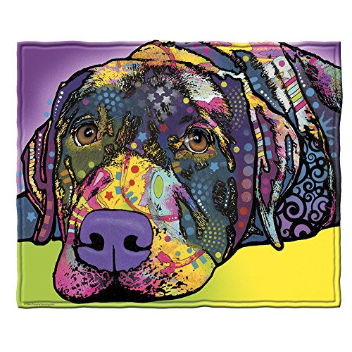 Dawhud Direct Colorful Dog Fleece Blanket for Bed, 50 x 60 inches Dean Russo Labrador Fleece Throw Blanket for Women, Men and Kids - Super Soft Plush Dog Blanket Throw Plush Blanket for Dog Lovers - color: Dean Russo Savvy Lab, size: 50" x 60"