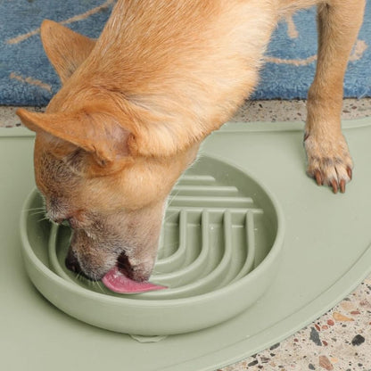Should We Go? Slow Feeder for Dogs & Cats, The Slowdown Bowl Silicone Slow Eating Mealtime Solution with Modern Lick Mat Design, Reduces Gulping, Fits 1 Cup, 6” Across x 1.25” Tall, Small-Sage - color: Sage - Rainbow Design, size: Small (6” Across x 1.25”