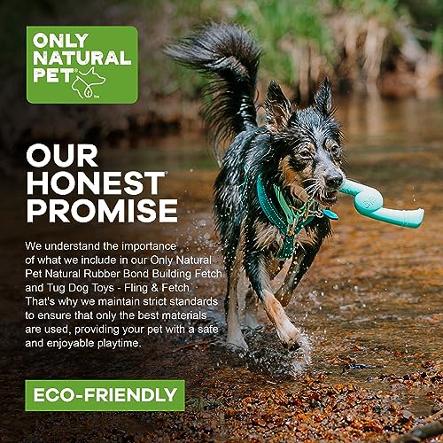 Only Natural Pet Rubber Bond Building Fetch Tug Dog Toy - Stick Floating Small XL Puppy Teach Durable Throw Launcher Flying Frisbee Boomerang Tough Aggressive Puller Chewers -Fling & Fetch/Teal - color: Teal