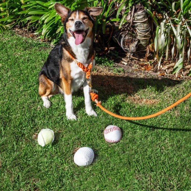 Glow Pups Dog Toys Plush Sports Balls with Squeakers, 3 Pack: Tennis, Baseball, and Golf Dog Toy, Interactive Hide and Seek Play, Durable Construction, 3" Size, Fun Ball Fetch Toy - style: 3 Pack: Tennis, Baseball and Golf Plush Dog Toys