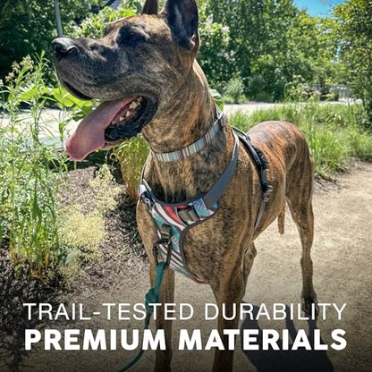 Embark Adventure Medium Dog Harness – No-Pull, Reflective Trim, Military-Grade Nylon, Front Clip with Gel-Lined Handle - color: Maverick, size: M