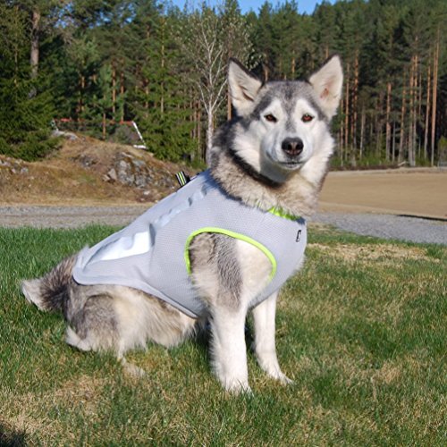 SGODA Dog Cooling Vest Harness Cooler Jacket Grey Green X-Small - color: grey with green, size: X-small Chest 14.5-17.5"