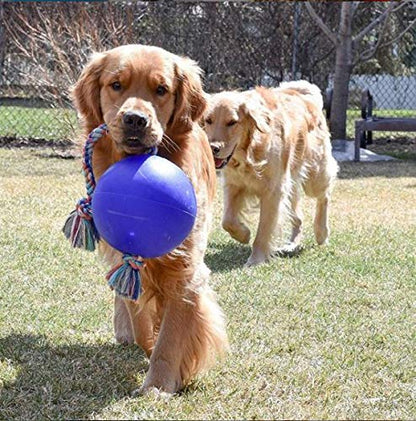 Jolly Pets Romp-n-Roll Rope and Ball Dog Toy, 8 Inches/Large, Blue, Model:608 BL - color: Blue, size: Large (8 in)