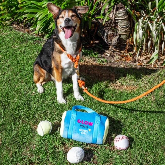 Glow Pups Dog Toys Plush Sports Balls with Squeakers, 3 Pack: Tennis, Baseball, and Golf Dog Toy, Interactive Hide and Seek Play, Durable Construction, 3" Size, Fun Ball Fetch Toy - style: 3 Pack: Tennis, Baseball and Golf Plush Dog Toys