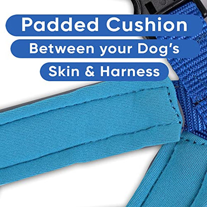 Pawtitas Reflective Padded Dog Harness for X-Small Dogs – Adjustable Puppy Step-in Vest | Fits Chest 14–18 in | No Pull Training Harness | XS | Blue - color: Blue, size: X-Small (Pack of 1)