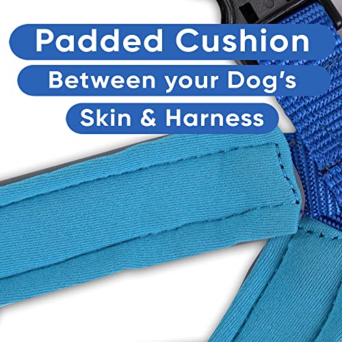 Pawtitas Reflective Padded Dog Harness for Small Dogs – Adjustable Puppy Step-in Vest | Fits Chest 18–22 in | No Pull Personalized Training Harness | S | Blue - color: Blue, size: Personalized Small (Pack of 1)
