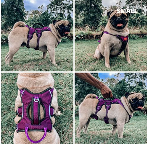 Tuff Pupper Escape Proof No Escape Dog Harness | 5 Point Adjustable Fit Harness for Dogs | Padded Dog Harnesses | Handle Dog Lift Harnesses - color: Purple, size: Small