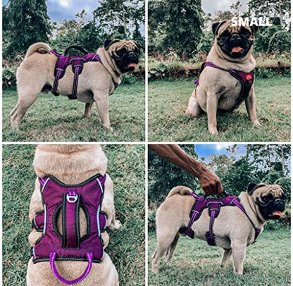 Tuff Pupper Escape Proof No Escape Dog Harness | 5 Point Adjustable Fit Harness for Dogs | Padded Dog Harnesses | Handle Dog Lift Harnesses - color: Purple, size: Small