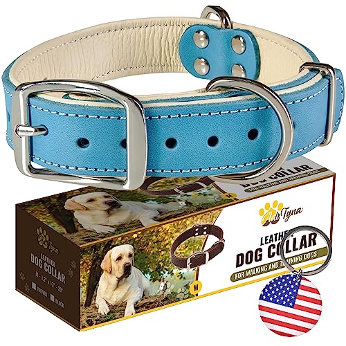 ADITYNA Heavy-Duty Leather Dog Collar for Medium Dogs - Soft Padded for Comfort - Blue Dog Collar for Walking, Training, and Hiking - color: Blue, size: Medium: Fit 13-20" Neck