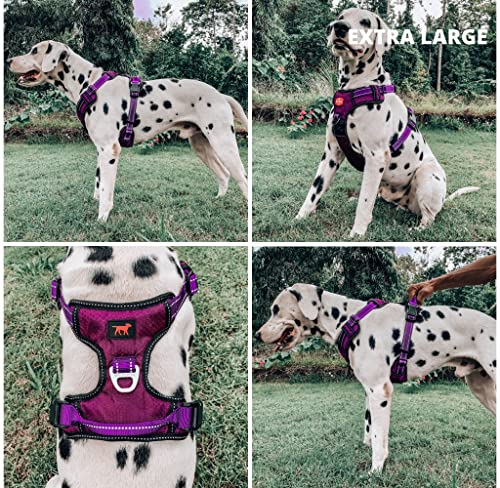 Tuff Pupper No Pull Easy Walk Dog Harness | Heavy Duty Pet Vest | Front & Back Leash Clips | Strong Safety Handle | Reflective Anti Pull Vest | Comfortable Padded Escape Proof Harness(X-Large, Purple) - color: Purple, size: X-Large (Neck: 20-30" , Chest: