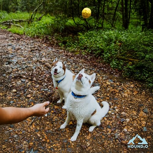 Dog Toys | Squeaky Fetch Ball for Dogs | Bright Yellow Floating Outdoor Dog Ball with Squeaker - color: Yellow