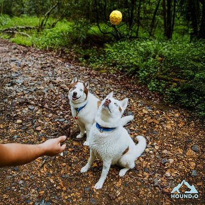 Dog Toys | Squeaky Fetch Ball for Dogs | Bright Yellow Floating Outdoor Dog Ball with Squeaker - color: Yellow