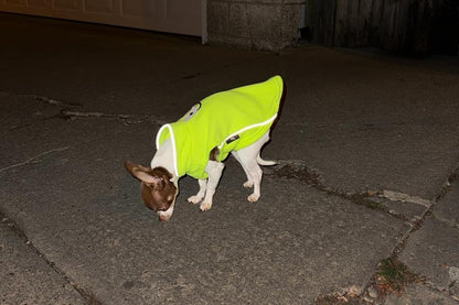JACKO & CO - Fleece Vest Dog Sweater with Leash Ring - Soft, Warm & Lightweight Pullover Coat for Small & Medium Dogs, Puppies & Cats - Cozy Fall/Winter/Spring Pet Jacket (Neon Green, XS 2-4lbs) - color: Neon Green, size: XS (2-4lbs)