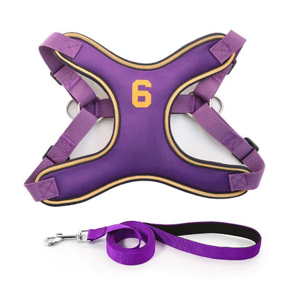 X-Shape Escape-Proof Dog Harness Vest, Reflective Padded Chest Strap with Matching Leash for Small & Medium Dogs Nylon & Polyester Design - color: Purple, size: XS