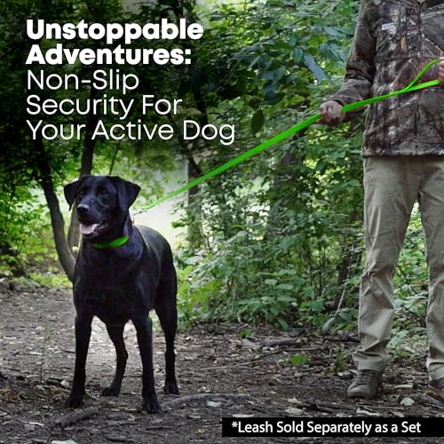 Regal Dog Products Small Light Green with Custom Engraved Waterproof Dog Collar and Leash Set | Waterproof Dog Collar with Double Buckle & D Ring - 5'ft Leash | Matching Dog Collar and Leash for Dogs - color: Light Green, size: Small Collar with leash