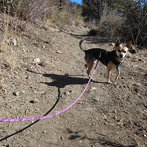 Heavy Duty Rope Dog Leash, 6/8/10/15/20 FT Long Nylon Pet Leash, Soft Padded Handle Thick Lead Leashes for Large Medium Dogs Walking Recall Training (6ft * 1/2", Purple) - color: purple, size: 1/2" * 6'