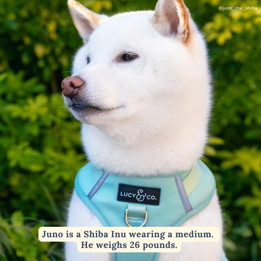 Lucy & Co. The Spring Green No-Pull Dog Harness - Size Small- Vest to Stop Pulling & Walk Easy - Comfortable Leash Training Product w/Adjustable Chest & Neck Straps - color: The Spring Green No-Pull Harness, size: Small