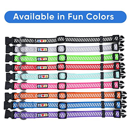 Pawtitas Reflective Dog Collar - Personalized Name & Phone Number, Adjustable for Small Dogs & Puppies - Purple - color: Customized Purple, size: X-Small (Pack of 1)