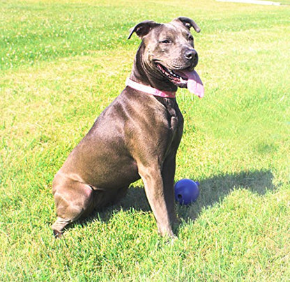 Jolly Pets Tug-n-Toss Heavy Duty Dog Toy Ball with Handle, 3 Inches/Mini, Purple (403 PR) - color: Purple, size: 3 in/Mini