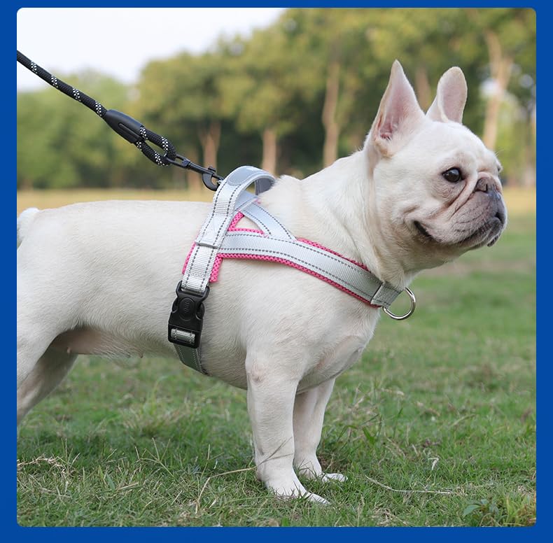 Dog Harness,No Pull Dog Harness, Adjustable Soft Harness with Breathable Mesh Padded, Reflective Lightweight Harness for Extra Small Medium Dogs Pink-L - color: Pink, size: L