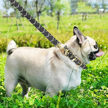 Leather Dog Collar and Leash Set, Check Pattern Dog Collar Leashes Metal Buckle Adjustable Durable for Small Medium Large Dogs (Black, S(11.4-13.4IN)) - color: Black, size: S(11.4-13.4IN)