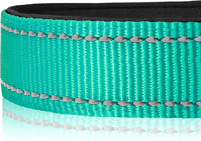 Reflective Dog Collar,Soft Neoprene Padded Breathable Nylon Pet Collar Adjustable for Large Dogs,Teal, L - color: Teal