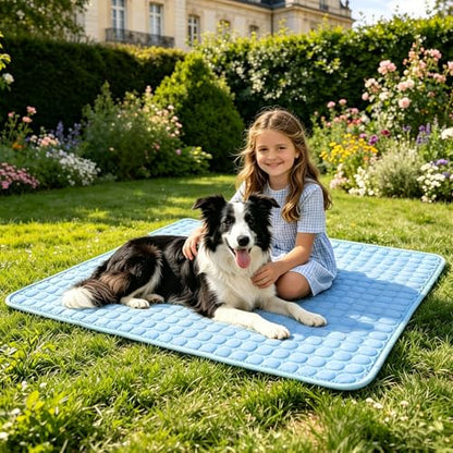 SOMOYA Dog Cooling Mat (Q-Max>0.4) Pet Cooling Pads Blanket Sleeping Kennel Mat,Ice Silk Cool Mat Pad Breathable Dog Bed Mats Beach for Large Dogs Cats (Blue, 39x59 in) - color: Blue, size: 39x59 in