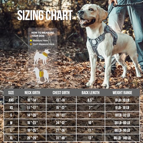 OneTigris Tactical Dog Harness Vest,No-Pull Service Dog Vest with Hook & Loop Panels,Adjustable Dog Vest Harness for Walking Hiking Training(Grey,XXS) - color: Grey, size: XX-Small