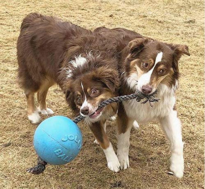 Jolly Pets Romp-n-Roll Rope and Ball Dog Toy, 8 Inches/Large, Blueberry, All Breed Sizes - color: Blueberry, size: Large (8 in)