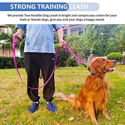 Strong Heavy Duty Dog Leash - 4ft Reflective Nylon Training Leash with Soft Padded Double Handle & Auto Lock Frog Clip - Safety Traffic Control for Large Medium Small Dogs No Pull Walk Hot Pink,4ft - color: Hot Pink, size: 4FT x 1" x 2.8MM