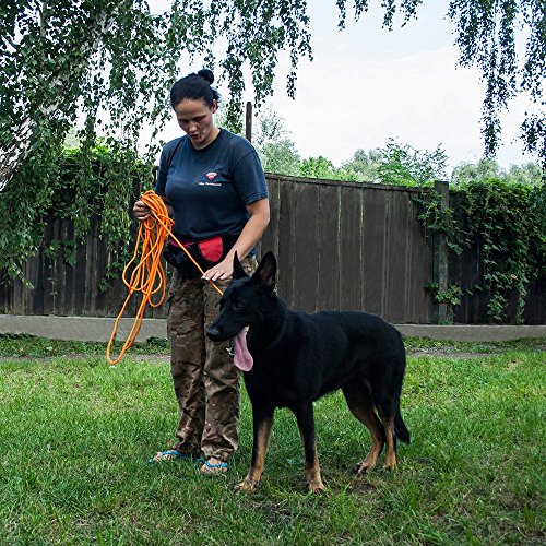 Rope Pro Training Dog Collar Braided No Pull Quick Release Round Lead Collars for Dogs Small Medium Large Puppy (30 FT Leash, Neon Orange) - color: Neon Orange