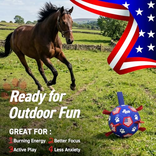QDAN Dog Toys, Soccer Ball with Straps, Durable Dogs Balls for Extra Large Breeds, Beach Pool Water Toy, Dog Birthday Gifts, Herding Balls (9 Inch) - color: Flag, size: 9 Inch
