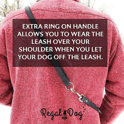 Regal Dog Products Waterproof Leash – 5 ft. Purple Dog Leash with Easy to Use Collar Hook, Lightweight, and Proof Training Pet Lead with Vinyl-Coated Webbing for Small, Medium, Large, or XL Dogs - color: Purple