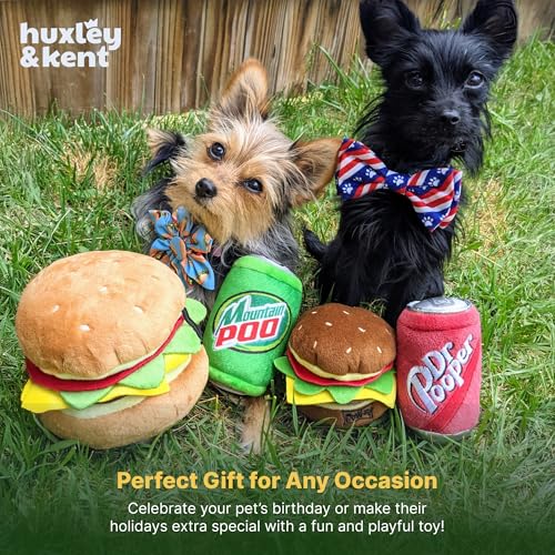 Huxley & Kent Funny Dog Toy w/Squeaker – Power Plush Squeaky Dog Toys for Small, Medium & Large Dogs – Soft Stuffed Animal for Indoor Play & Fetch - Dr Pooper, Large - size: Large, style: Dr Pooper