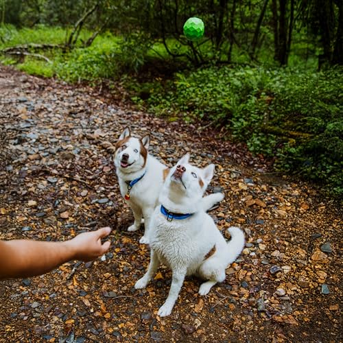 Playology HOUND2O Dog Toys | Squeaky Fetch Ball for Dogs | Bright Green Floating Outdoor Dog Ball with Squeaker