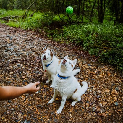 Playology HOUND2O Dog Toys | Squeaky Fetch Ball for Dogs | Bright Green Floating Outdoor Dog Ball with Squeaker